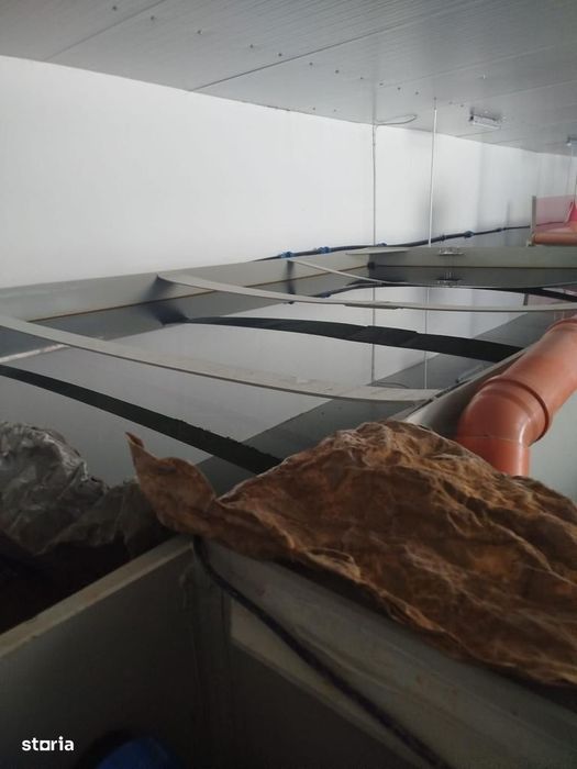 Camin de batrani + Ferma de sturioni/Saru Dornei