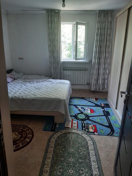 дом из каркаса камыш