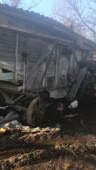 Batoza lucerna, trifoi, grau