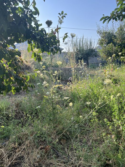 Жер участкесі сатылады