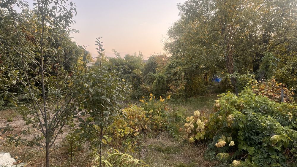 Дача село Болек