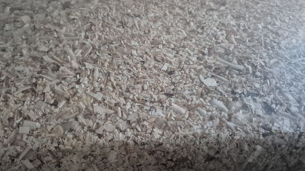 Талаш сух, трици