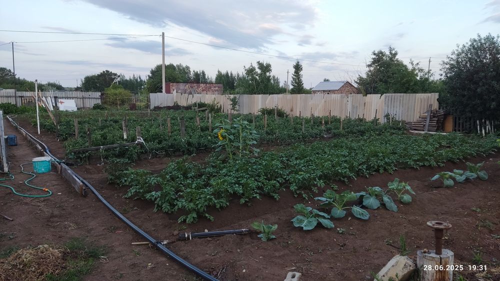 Продам дачу конца сезон на СОЮЗ