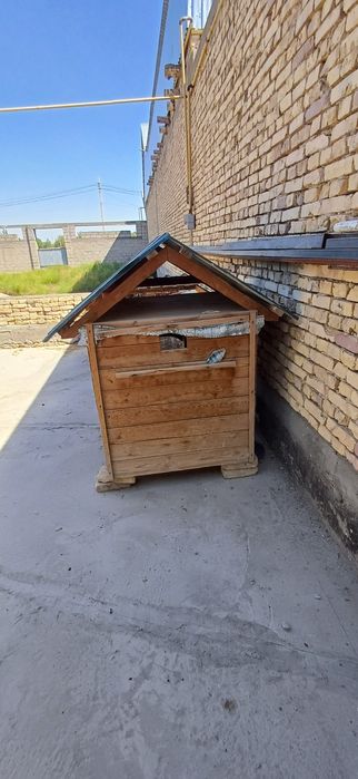 Домик итлар учун.  Келишилган холда