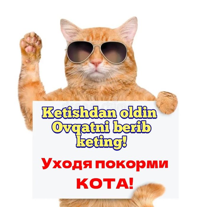 ЗООМАГАЗИН корм для Животных