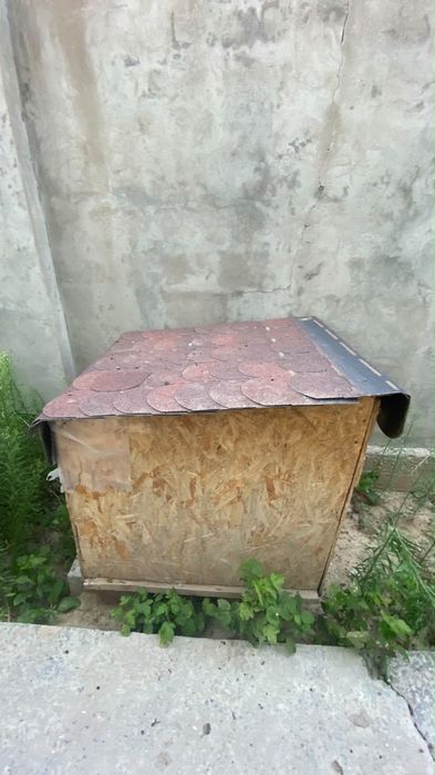 Иттің үйшігі, домик собаки