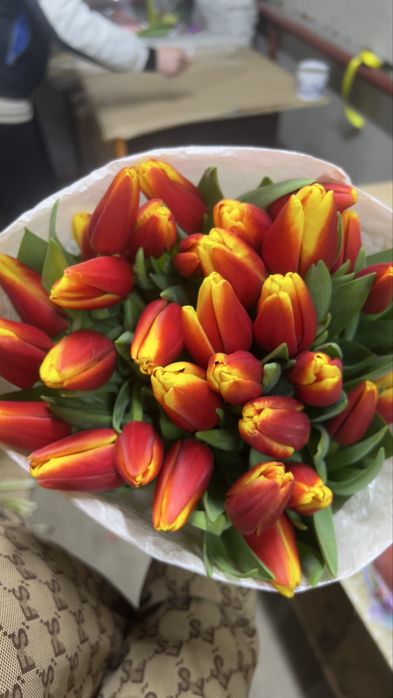 Тюльпаны к 8 марта оптом из теплицы