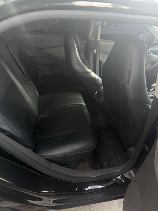 Kobilt 2025 midnayt