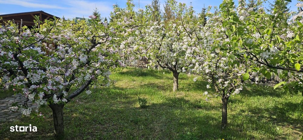 Teren intravilan zona Baisa-Stejarul