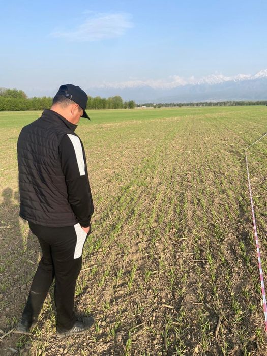 Алмалыбак 19км участок