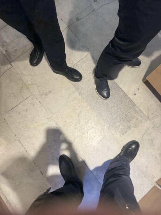 Алабай шенки 1.5 месец