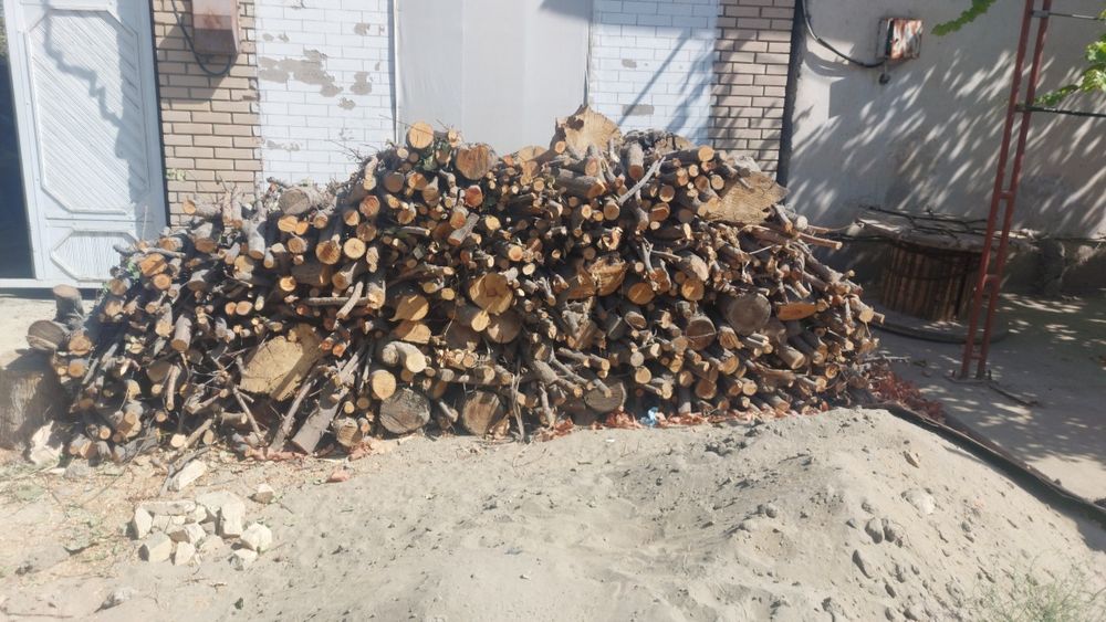 Tayor utinlar sotiladi