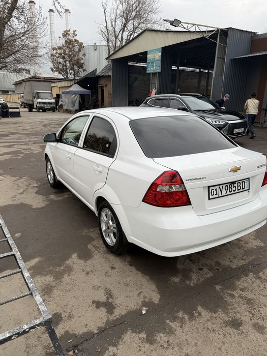 Neksia3  arenda vikub