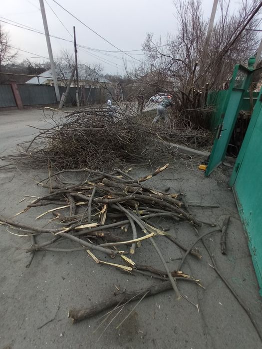 Отдам даром  дрова