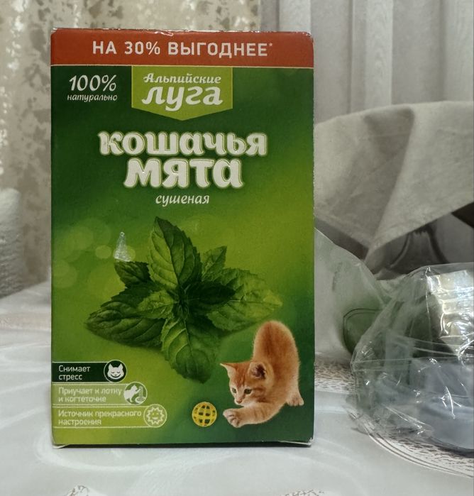 Кошачья мята для кошек