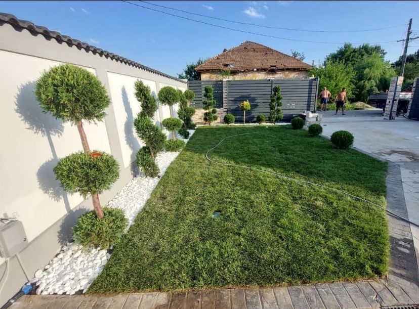 Gazon rulou Amenajari cu Plante