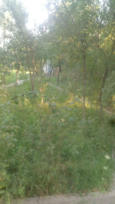 Наманган вилояти Янгиқӯрғон туманида Чортоқсой бӯйида дала-ҳовли