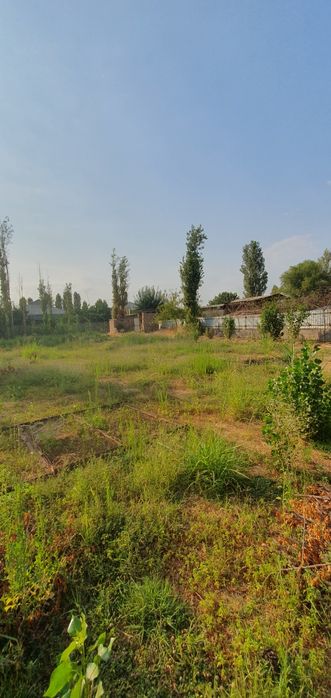 Куйи Чирчик тумани  Тошовул махаллада 20 сотих 6 хона янги ховли сотил