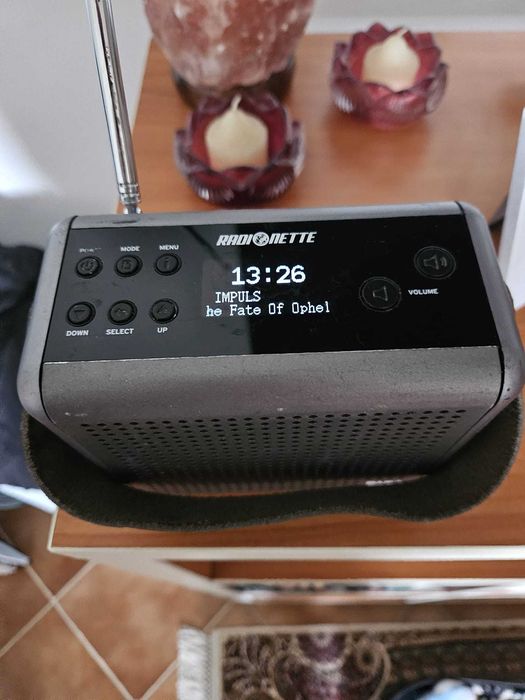 RadioNette portabil
