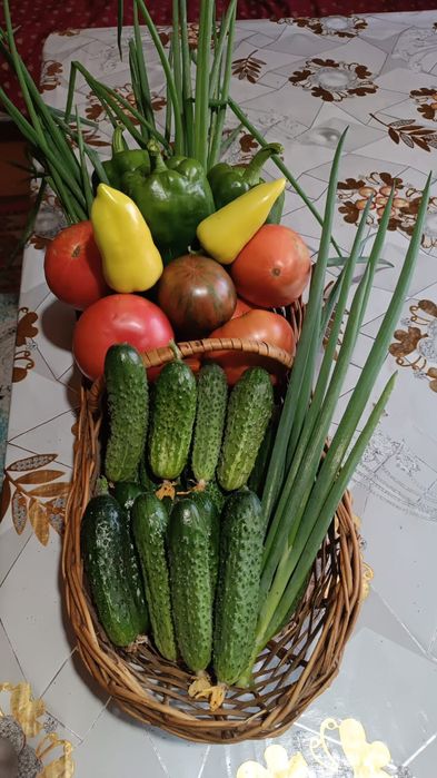 Продам дом в кабанбай батыра