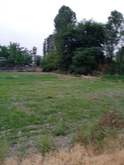 Yer sotiladi 6 sotix