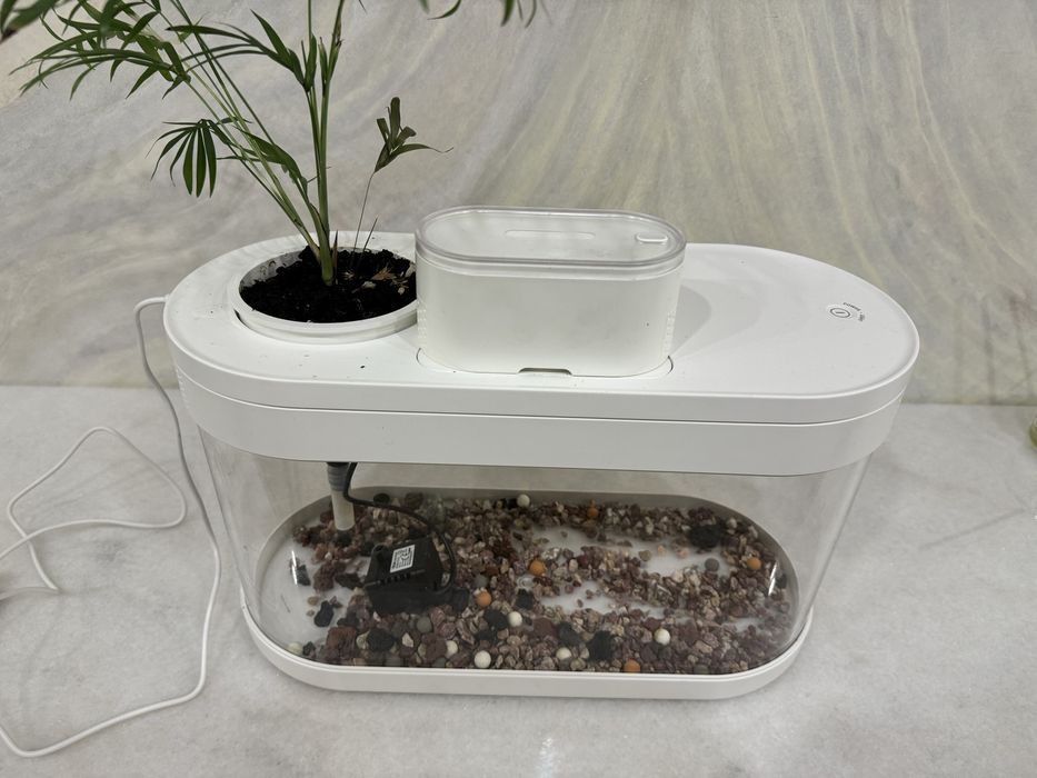 аквариум для рыб