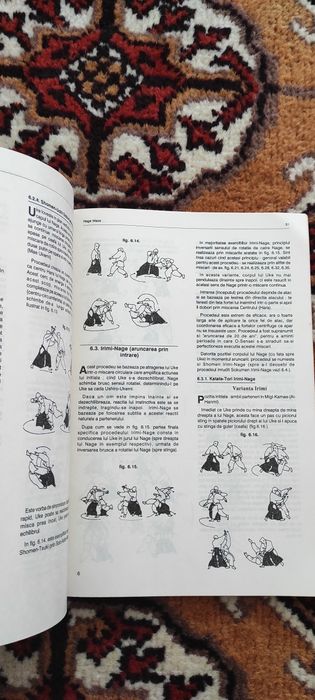 Aikido. Calea armoniei