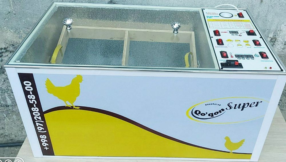 INKUBATOR инкубатор