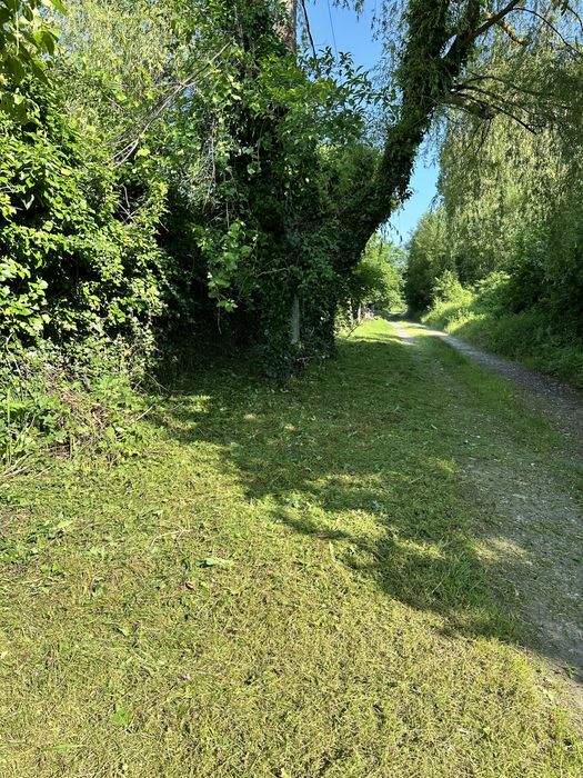 Косене и Поддръжка