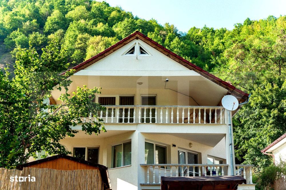 Casa de vacanta in inima naturii – Ramet, Valea Manastirii