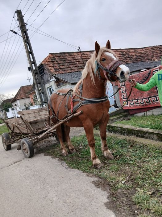 1111111111111111111111111111