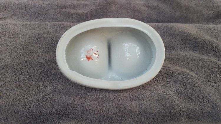 Solnita portelan alba iulia