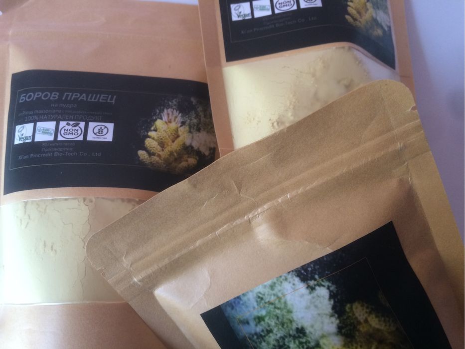 Боров прашец Pinus Massoniana 100гр