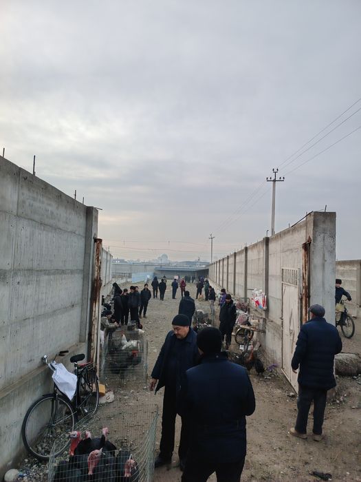 13 сотих жой ижарага берилади