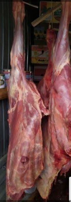 Закупаем мясо крс корова сиыр