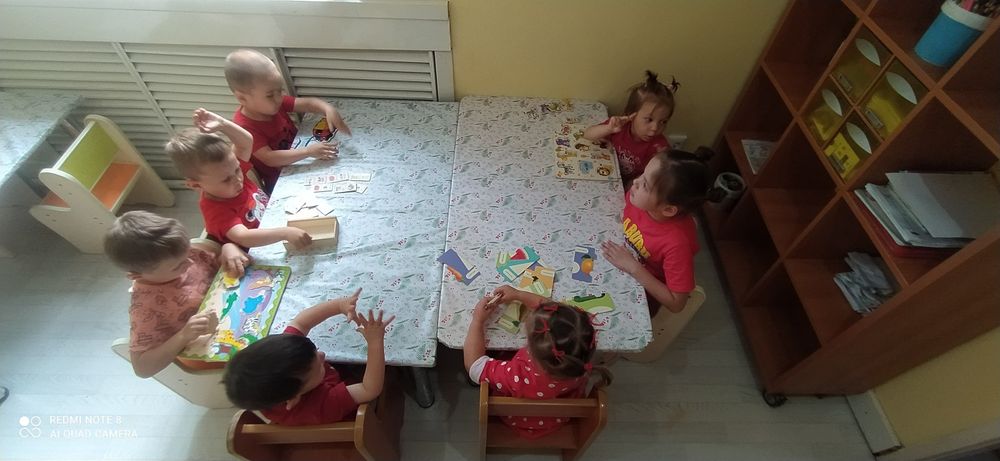 Домашний детский сад НАБОР ДЕТОК