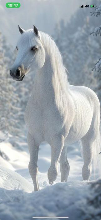 Сдается времянка