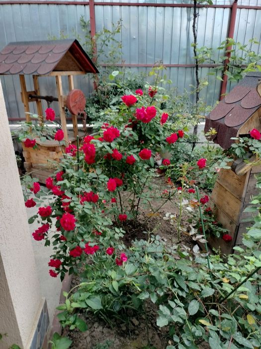 Casa de vânzare   Luica/Zețari /soseaua Giurgiului