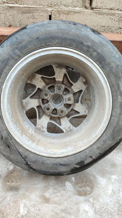 Титинка максима р15