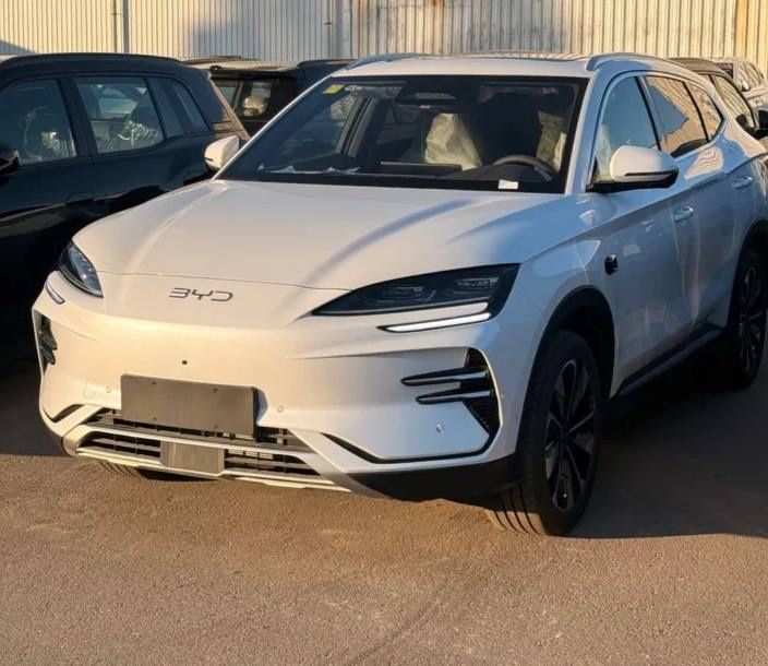 Byd chempion smart 2025