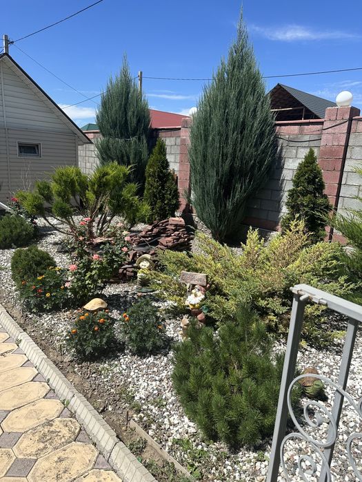 Продам дом срочно