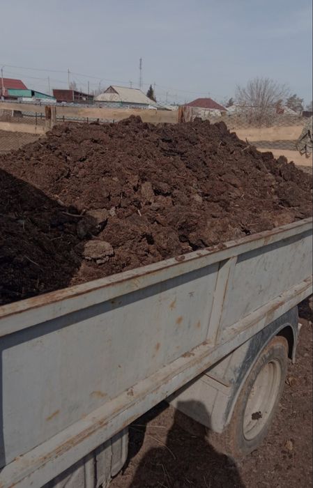 Перегной. Чернозем