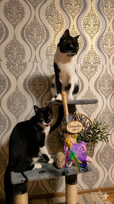 Подаряват се две красиви души!