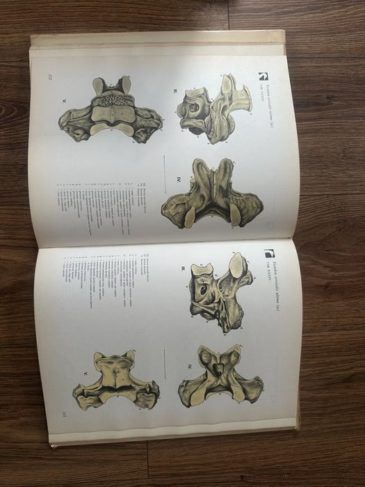 Атлас по анатомия на птиците