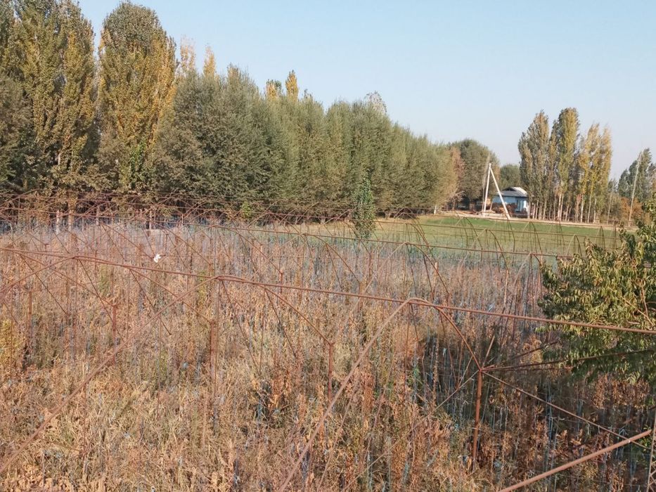 TЕПЛИЦА срочно сотилади  13.5 сотих - сув окувd латоги йок