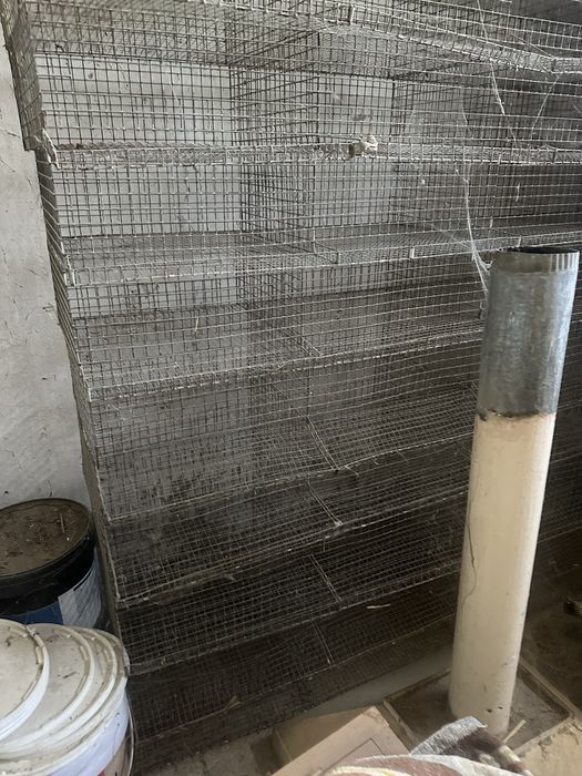 Bedana qafas tuxum yetishtirish un