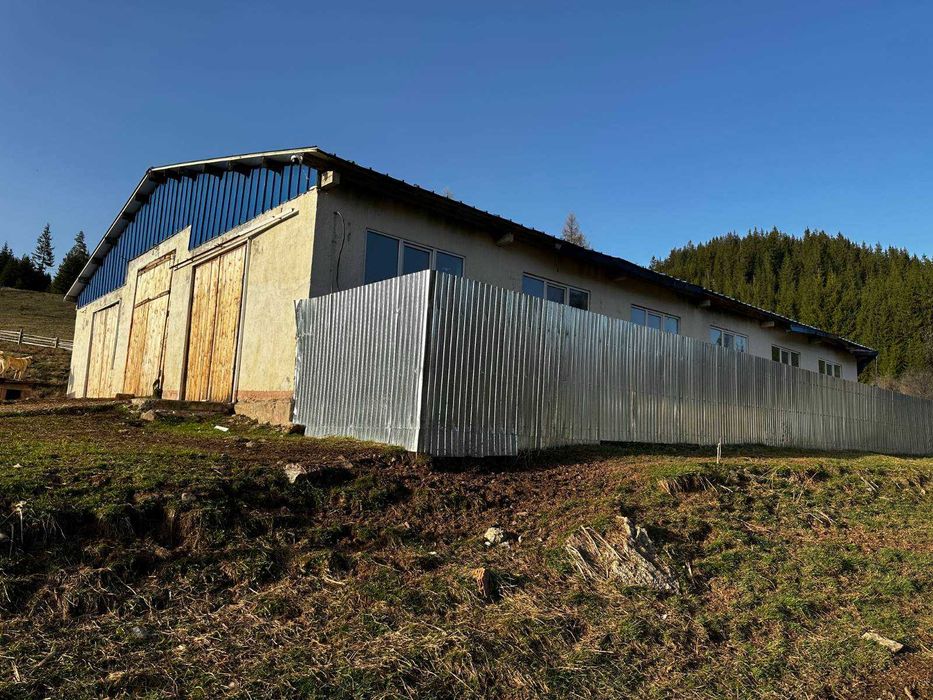 Urgent!! Oportunitate rara - Ferma de vaci, com Breaza, Suceava