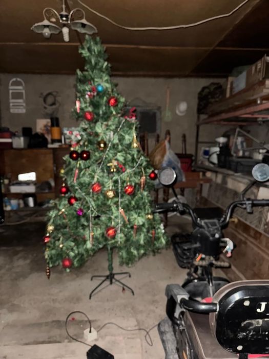 Ёлка оншыктарымен бирге 3м