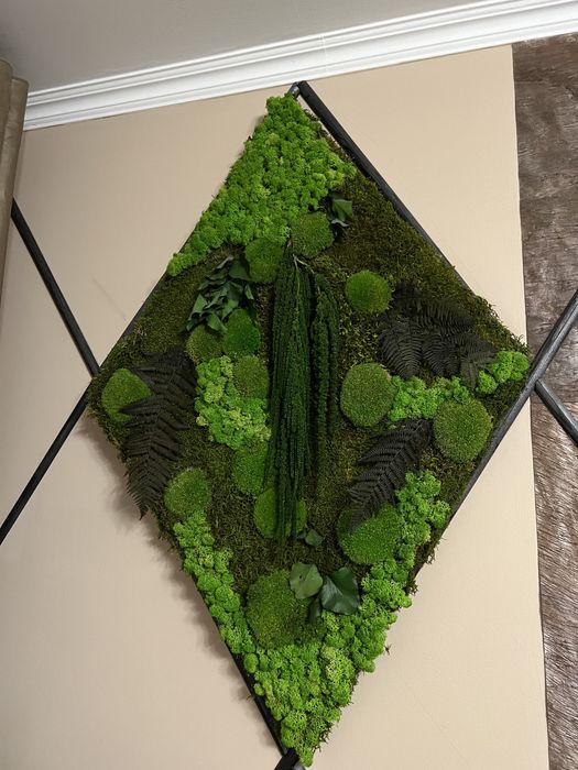 Tablou natural muschi si licheni