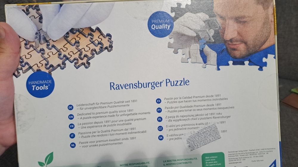 Puzzle Pikachu Deosebit